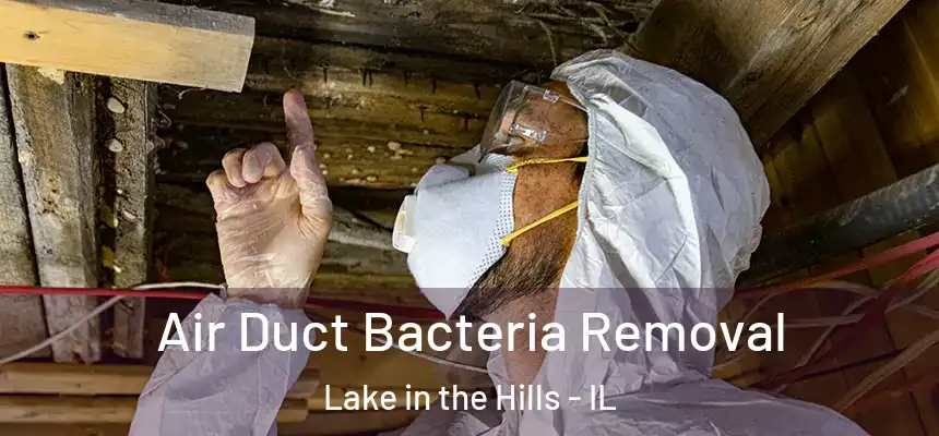 Air Duct Bacteria Removal Lake in the Hills - IL