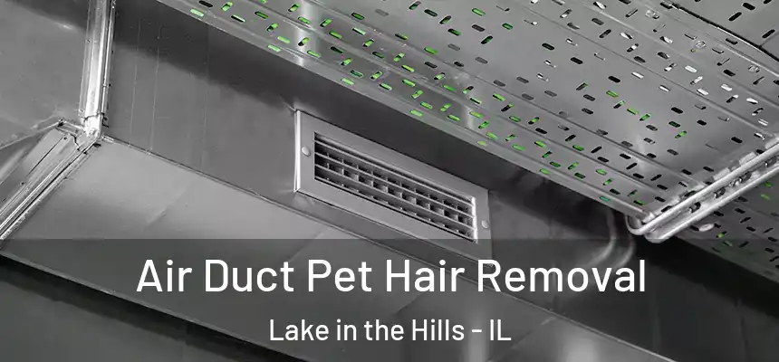  Air Duct Pet Hair Removal Lake in the Hills - IL
