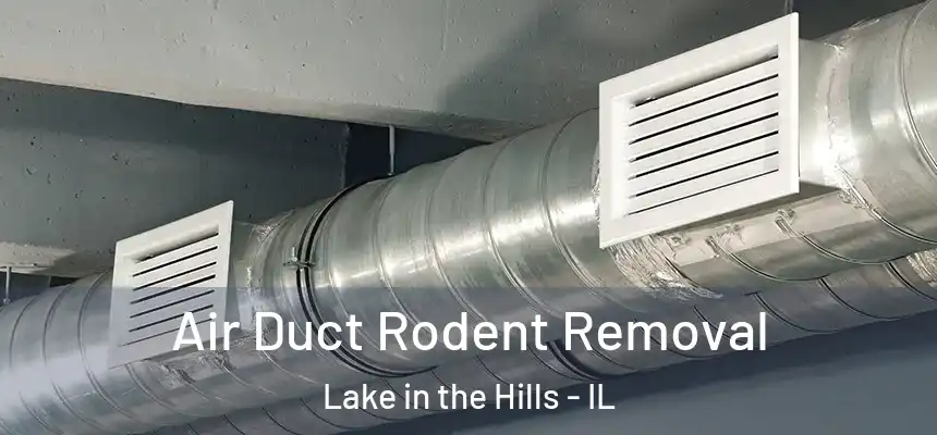  Air Duct Rodent Removal Lake in the Hills - IL