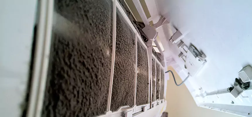 Preventive Air Duct Bacteria Removal in Lake in the Hills