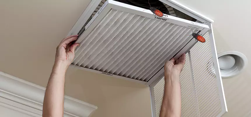 Our Insect Removal from Air Ducts Services in Lake in the Hills, IL