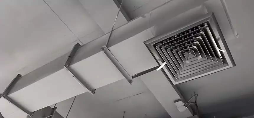 Our Pest Removal From Ducts Services in Lake in the Hills, IL