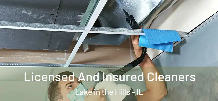 Licensed And Insured Cleaners Lake in the Hills - IL