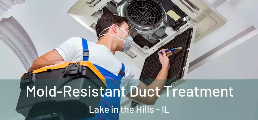  Mold-Resistant Duct Treatment Lake in the Hills - IL