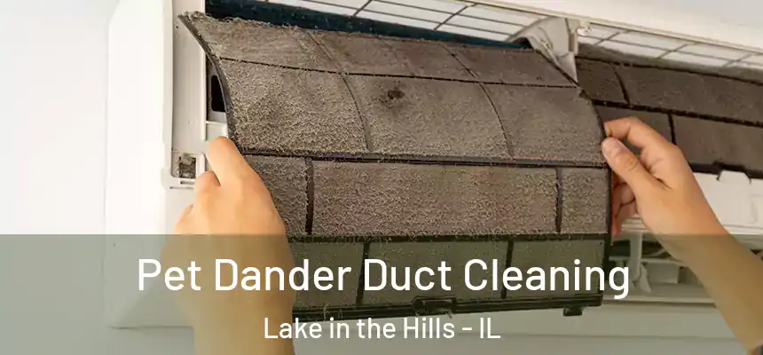 Pet Dander Duct Cleaning Lake in the Hills - IL