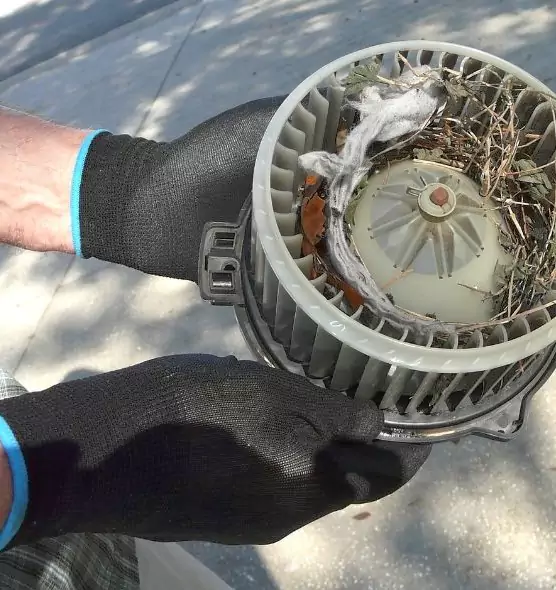 About Air Duct Mice Removal in Lake in the Hills, IL