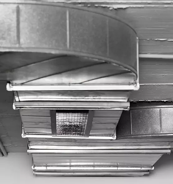 Professional Air Duct Pest Removal in Lake in the Hills, IL