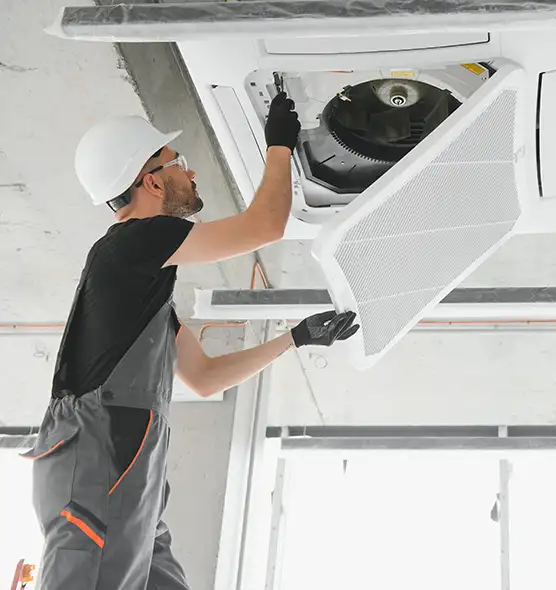 About Air Duct Rodent Removal in Lake in the Hills, IL