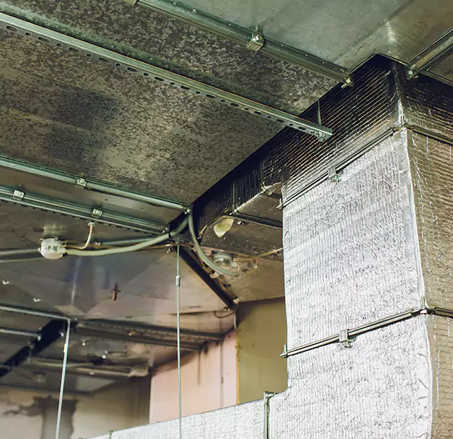 Why Homeowners & Businesses Trust Us in Lake in the Hills, IL?